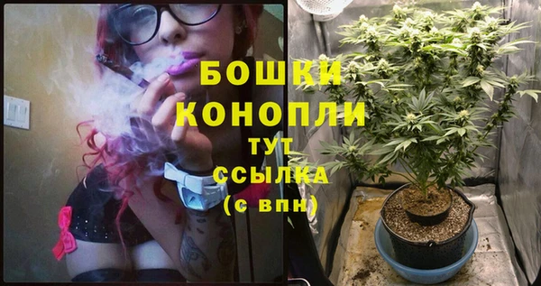 2c-b Осинники