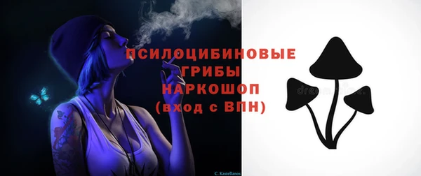 бошки Осташков