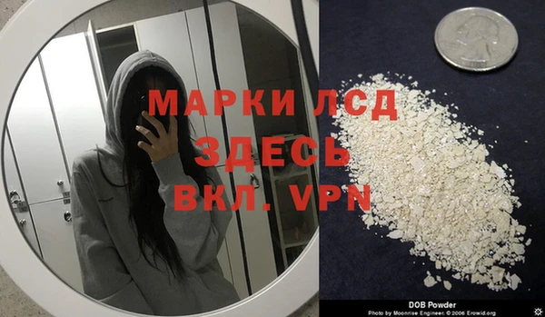 гашик Арсеньев