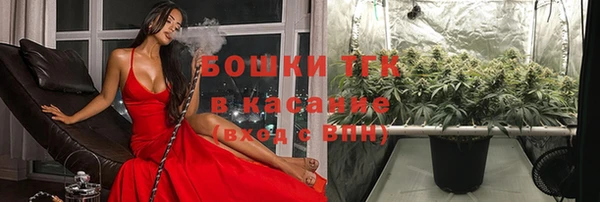 бошки Осташков