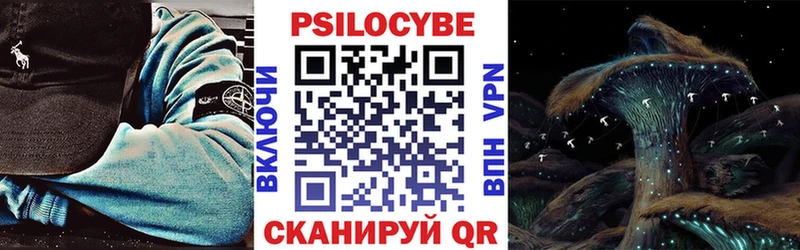 наркотики  Боготол  Галлюциногенные грибы прущие грибы 